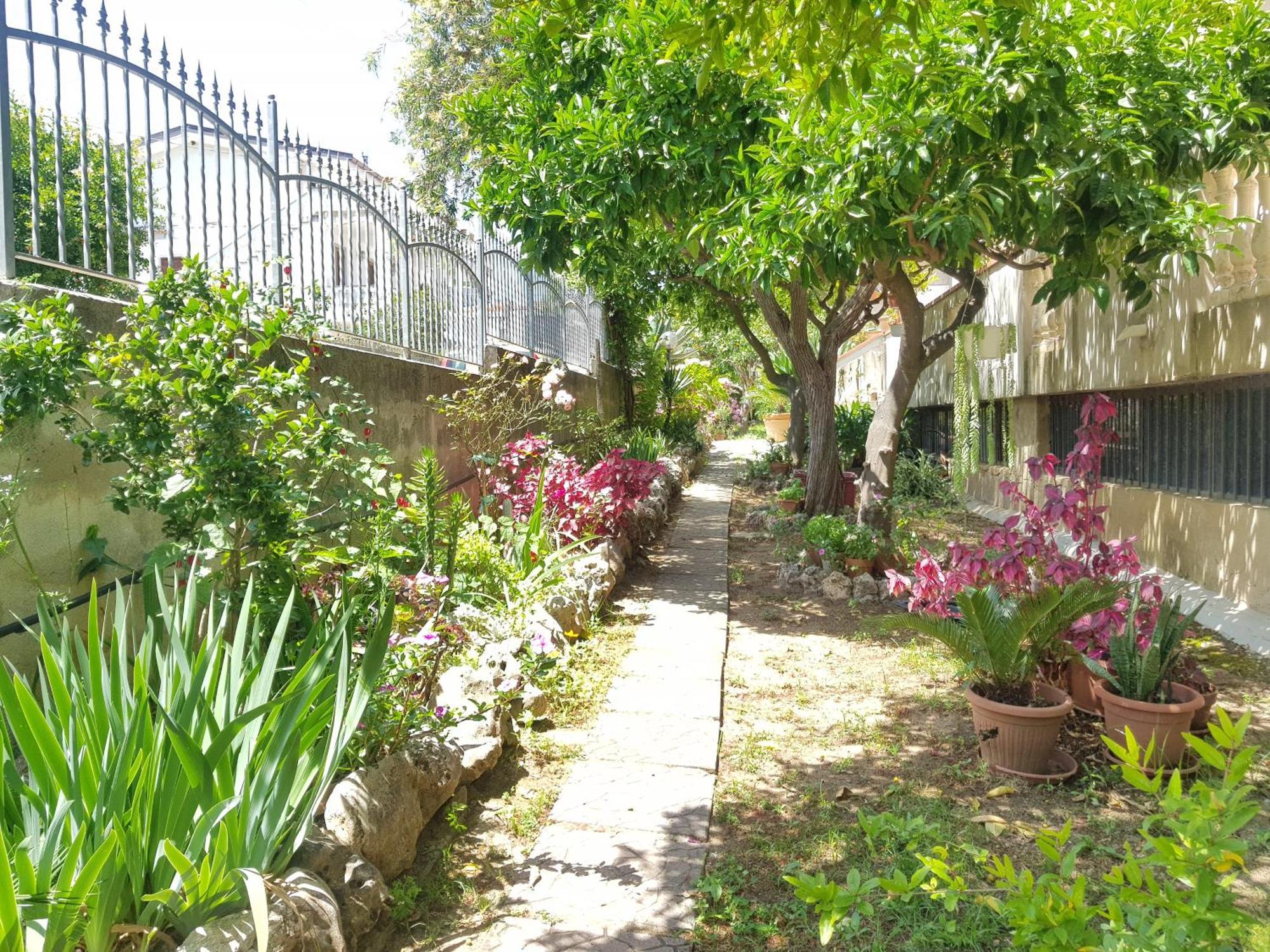 Villa Laria Tropea Exteriör bild
